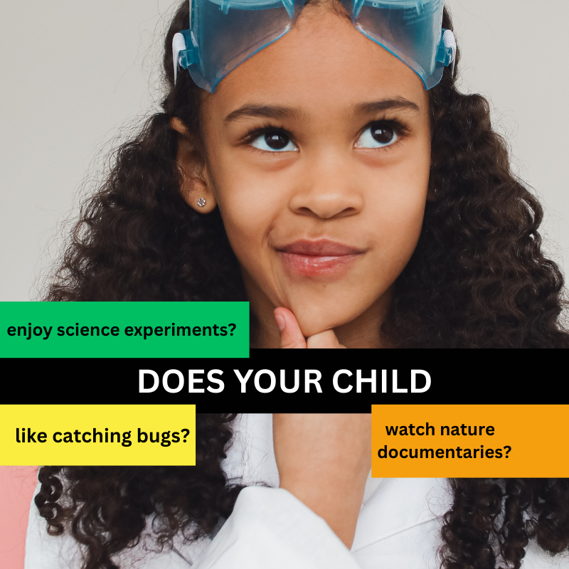 Environmental Scientist or Beekeeping | Spark & Explore
